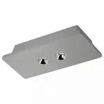 Потолочный светодиодный светильник Loft IT Architect OL1072-GH/2