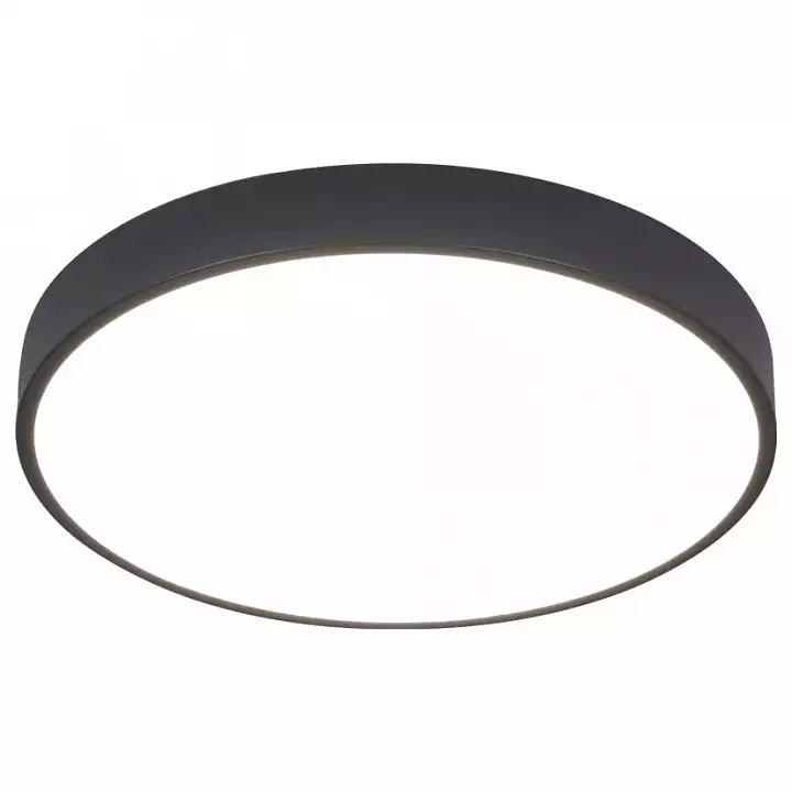 Накладной светильник Arte Lamp Arena A2661PL-1BK 0_AR_A2661PL-1BK.webp big