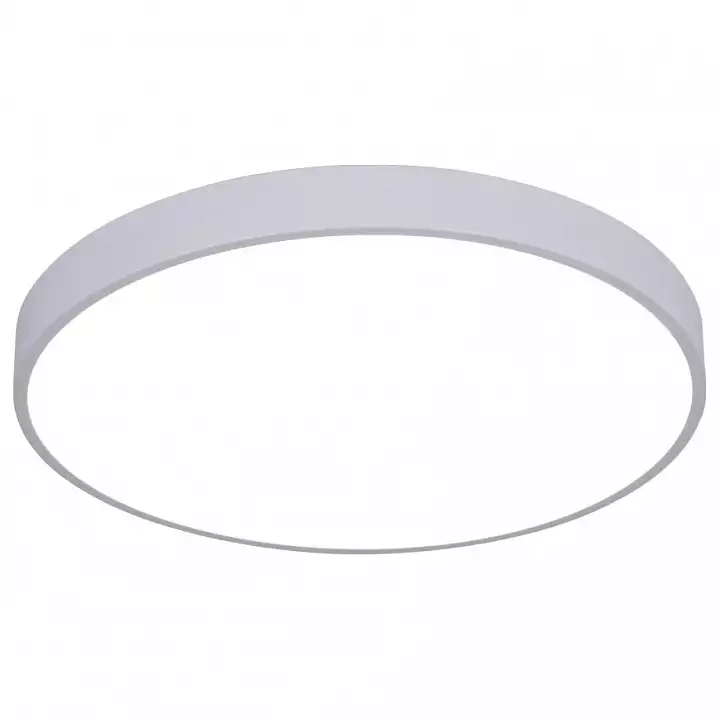 Накладной светильник Arte Lamp Arena A2670PL-1WH 0_AR_A2670PL-1WH.webp big