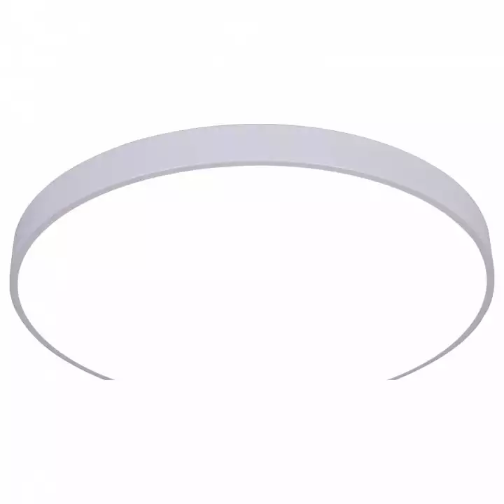 Накладной светильник Arte Lamp Arena A2671PL-1WH 0_AR_A2671PL-1WH.webp big
