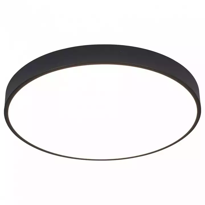 Накладной светильник Arte Lamp Arena A2672PL-1BK 0_AR_A2672PL-1BK.webp big