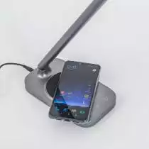 Настольная лампа декоративная Citilux Ньютон CL803052 1_CL803052.webp small