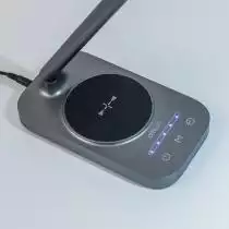 Настольная лампа декоративная Citilux Ньютон CL803052 2_CL803052.webp small