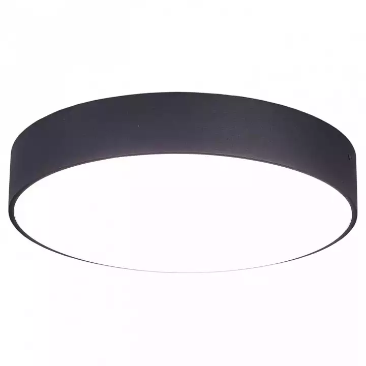 Накладной светильник Citilux Тао CL712242N 0_CL712242N.webp big