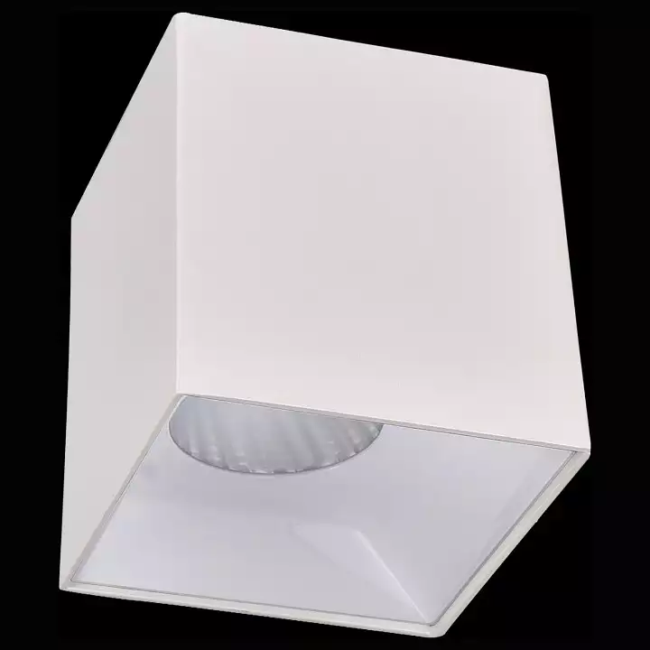 Накладной светильник Citilux Старк 1 CL7440200 1_CL7440200.webp big