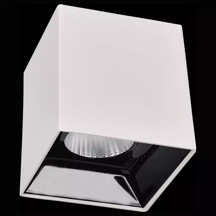 Накладной светильник Citilux Старк 1 CL7440201 1_CL7440201.webp big