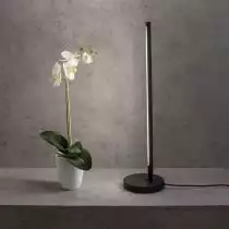 Настольная лампа декоративная Mantra Torch 6738 1_MN_6738.webp small