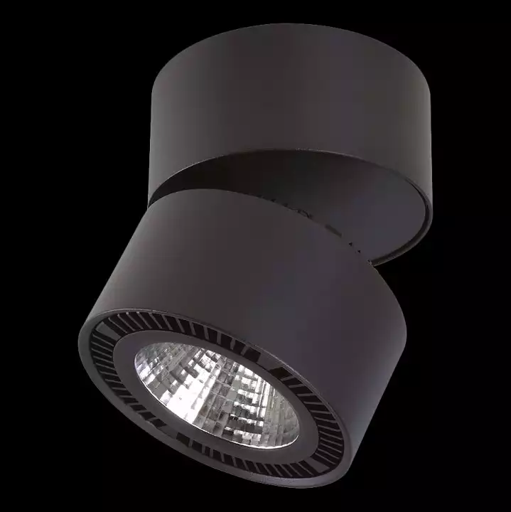 Спот Lightstar Forte Muro LED 214817 1_LS_214817.webp big