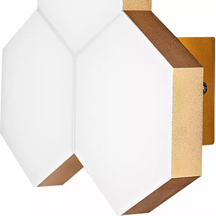Накладной светильник Lightstar Favo LED 750631 2_LS_750631.webp big
