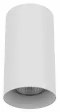 Накладной светильник Lightstar Rullo 216486