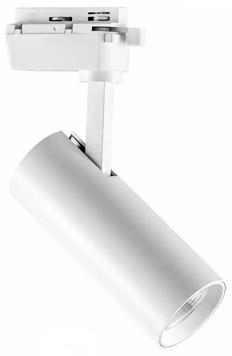 Светильник на штанге Lightstar Volta 228236 0_LS_228236.webp big