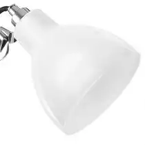 Настольная лампа офисная Lightstar Loft 865914 1_LS_865914.webp small