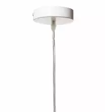 Подвесной светильник Loft it 1806 LOFT1806 3_LF_LOFT1806.webp small