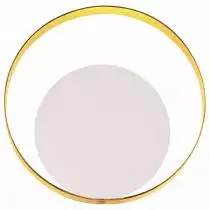 Накладной светильник Odeon Light Mondi 3899/7WW