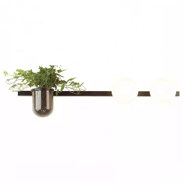 Бра Odeon Light Flower 4681/2W 0_OD_4681_2W.webp big