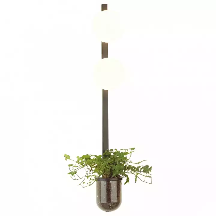 Бра Odeon Light Flower 4681/2WA 0_OD_4681_2WA.webp big