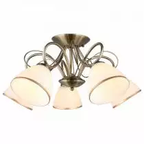 Потолочная люстра Omnilux Alimini OML-25307-05 1_OM_OML-25307-05.webp small