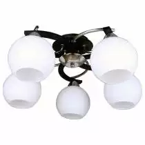 Потолочная люстра Omnilux Caldiero OML-25407-05