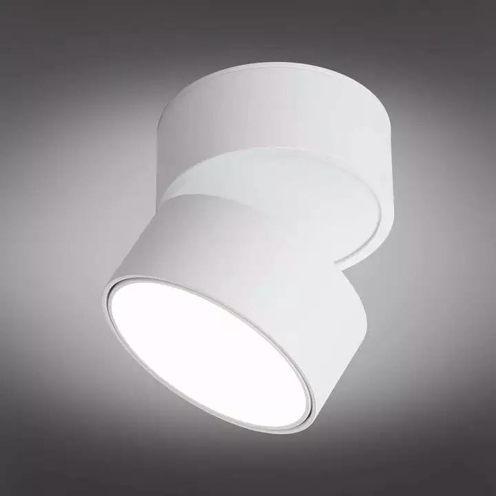 Спот Omnilux Lenno OML-101309-18 7_OM_OML-101309-18.webp big