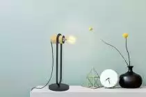 Настольная лампа декоративная Eglo Chieveley 43543 1_EG_43543.webp small