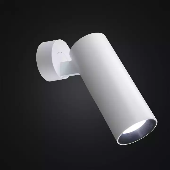 Спот Citilux Тубус CL01B120N 1_CL01B120N.webp big