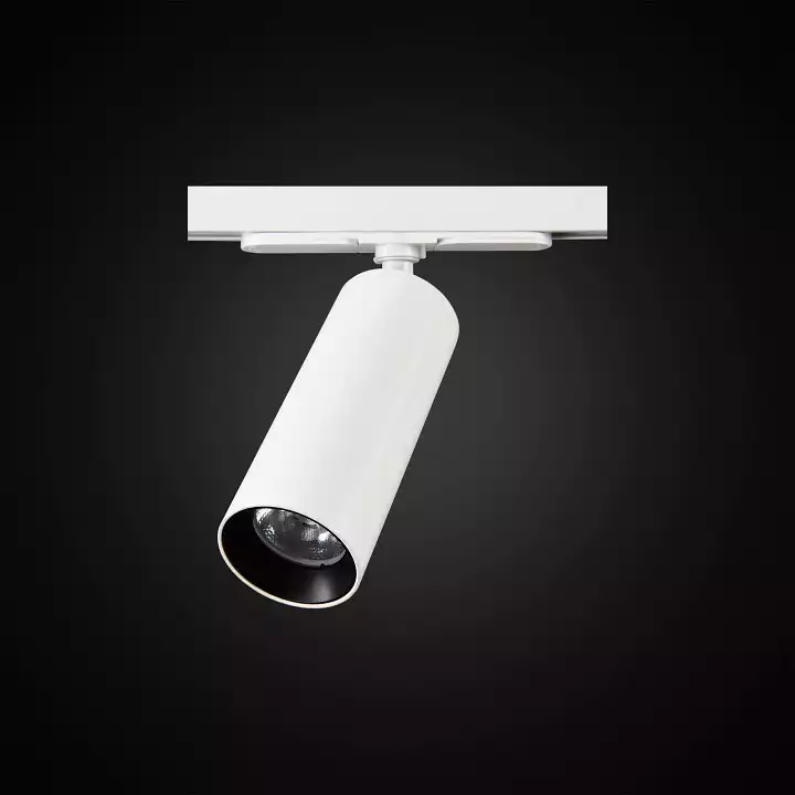 Светильник на штанге Citilux Тубус CL01T120N 1_CL01T120N.webp big