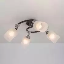 Потолочная люстра Citilux Сиерра CL119241 1_CL119241.webp small