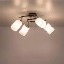 Потолочная люстра Citilux Сиерра CL119241 4_CL119241.webp small