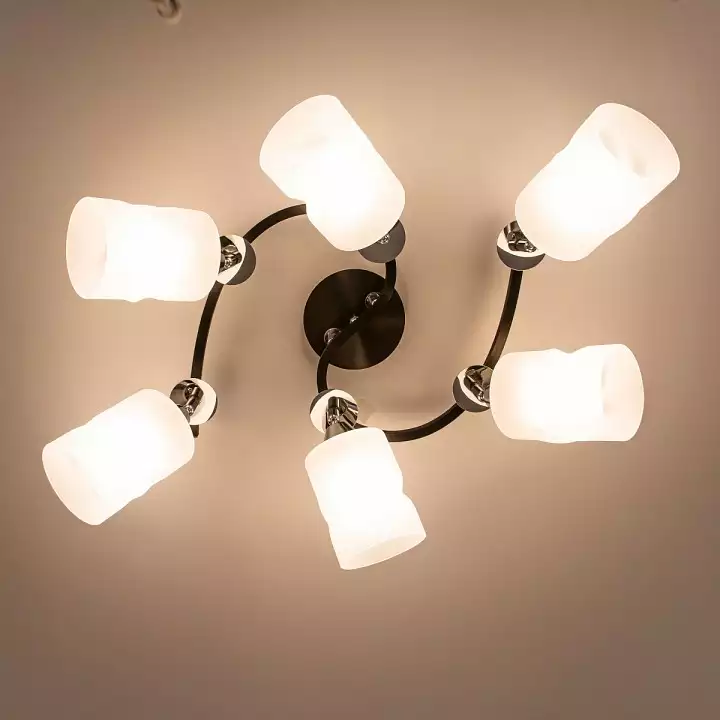 Потолочная люстра Citilux Сиерра CL119261 1_CL119261.webp big
