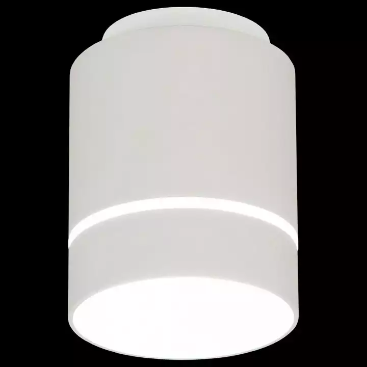Накладной светильник Citilux Борн CL745010N 1_CL745010N.webp big