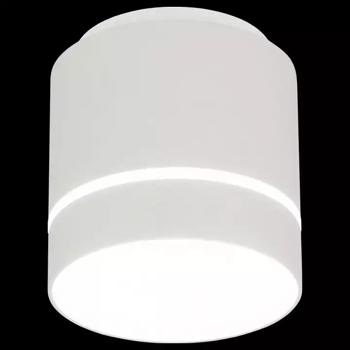 Накладной светильник Citilux Борн CL745020N 1_CL745020N.webp big
