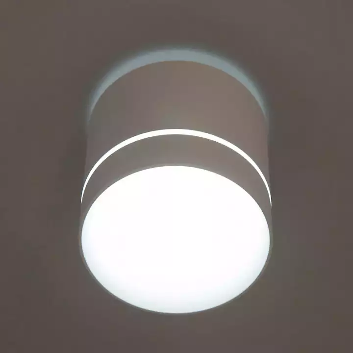 Накладной светильник Citilux Борн CL745020N 5_CL745020N.webp big