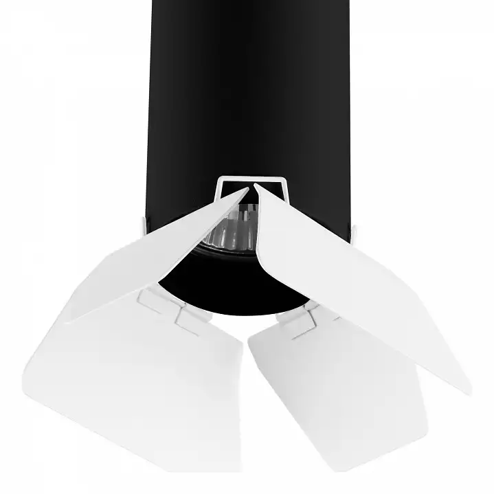 Накладной светильник Lightstar Rullo 3 R437436 1_LS_R437436.webp big