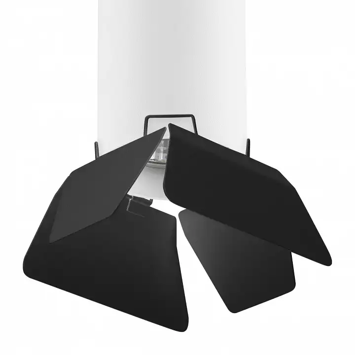 Накладной светильник Lightstar Rullo 3 R496437 1_LS_R496437.webp big