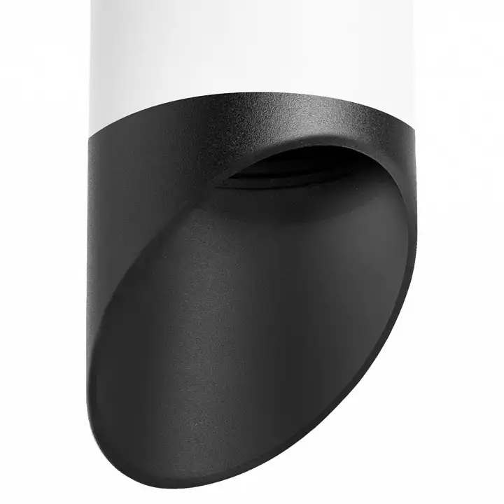 Накладной светильник Lightstar Rullo 2 R648687 1_LS_R648687.webp big