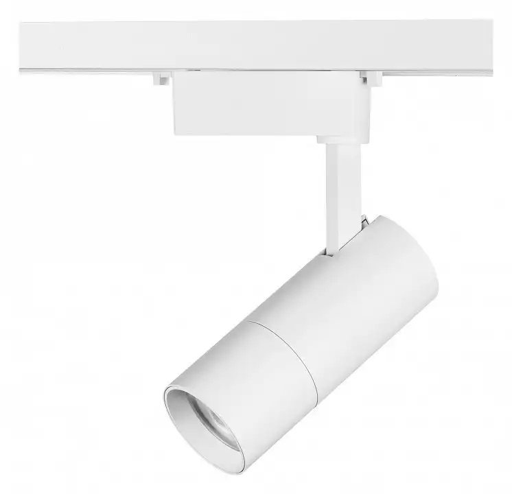 Светильник на штанге Lightstar Volta 229246 1_LS_229246.webp big