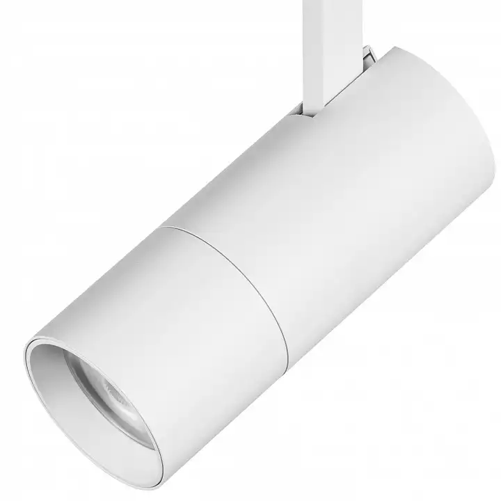 Светильник на штанге Lightstar Volta 229246 4_LS_229246.webp big
