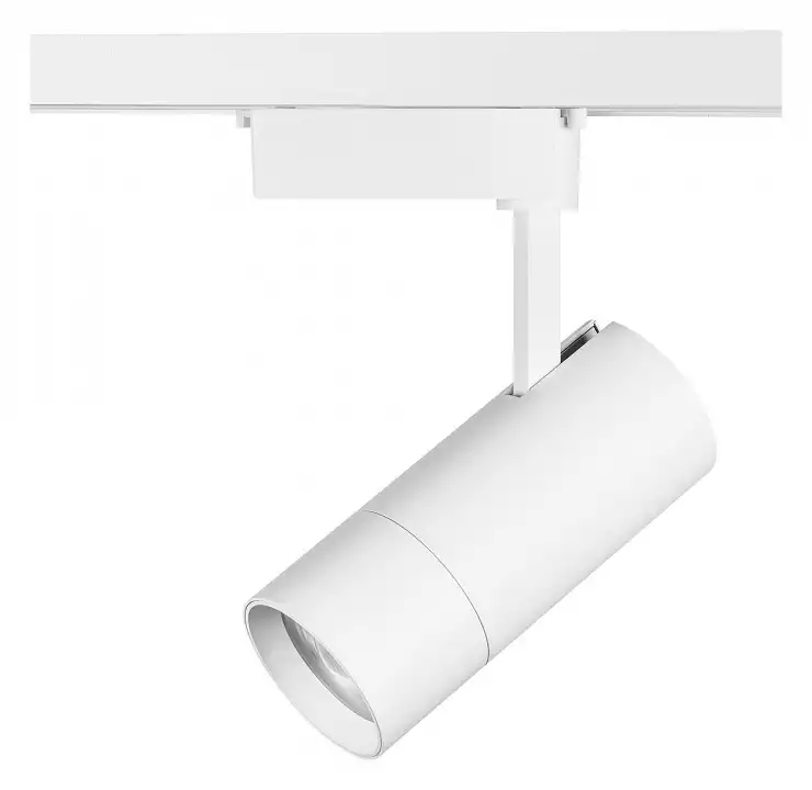 Светильник на штанге Lightstar Volta 229336 1_LS_229336.webp big