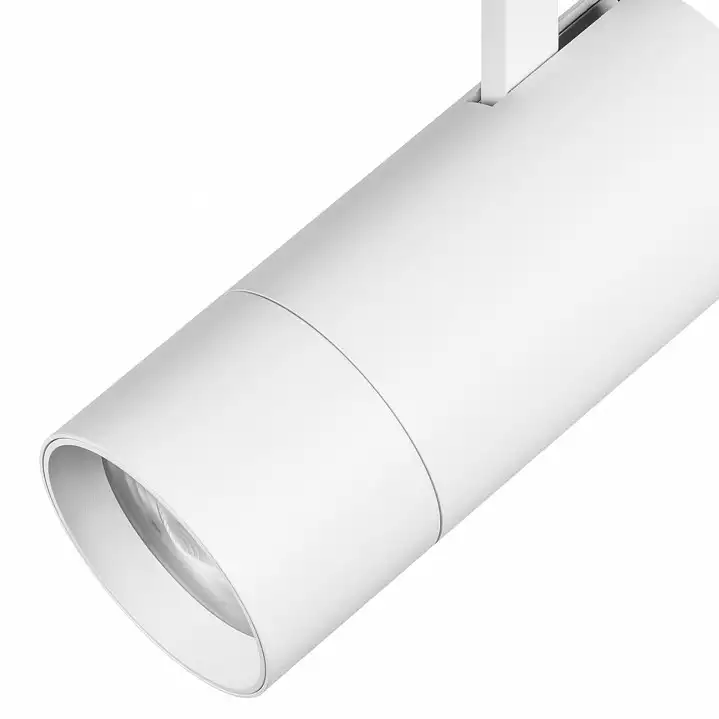 Светильник на штанге Lightstar Volta 229336 4_LS_229336.webp big