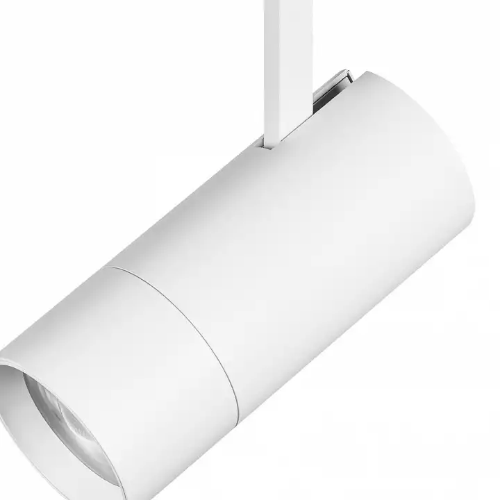 Светильник на штанге Lightstar Volta 229346 4_LS_229346.webp big