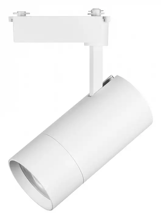 Светильник на штанге Lightstar Volta 229446 0_LS_229446.webp big