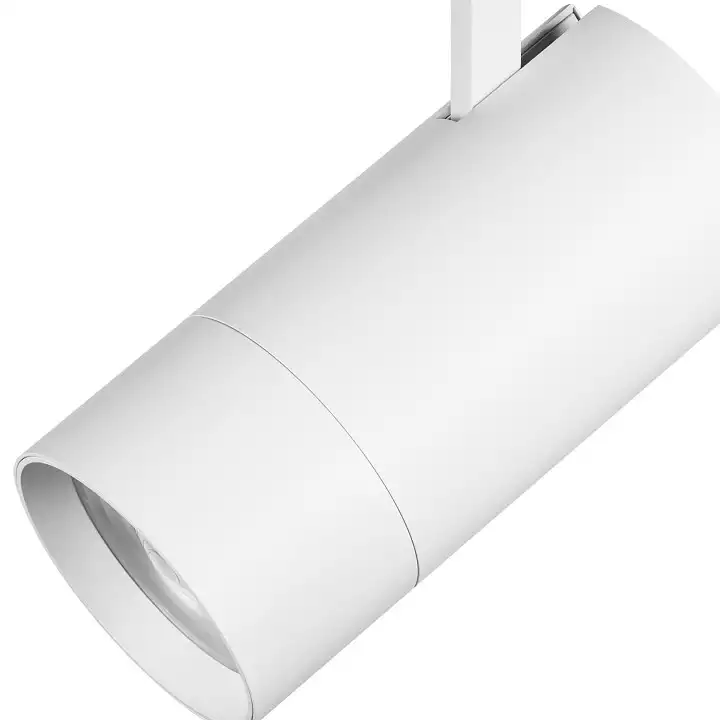 Светильник на штанге Lightstar Volta 229446 4_LS_229446.webp big