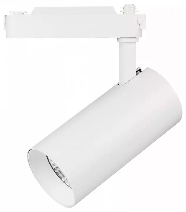 Светильник на штанге Lightstar Fuoco 218246 0_LS_218246.webp big