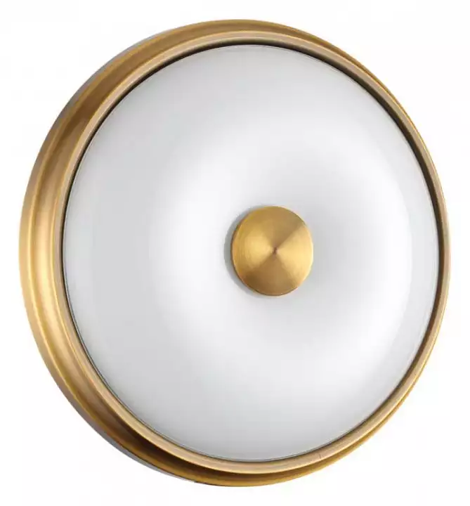 Накладной светильник Odeon Light Pelow 4956/2 0_OD_4956_2.webp big