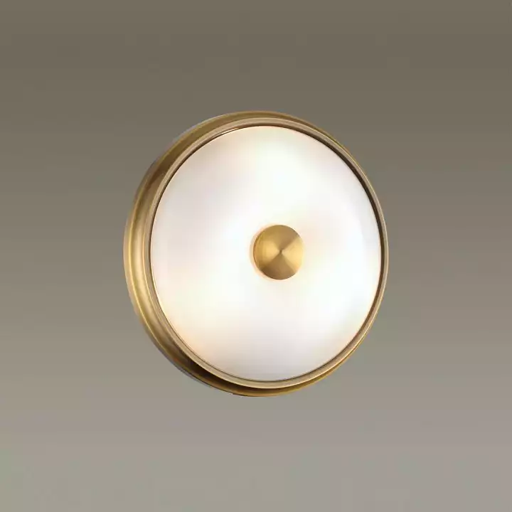 Накладной светильник Odeon Light Pelow 4956/2 1_OD_4956_2.webp big