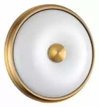 Накладной светильник Odeon Light Pelow 4956/2