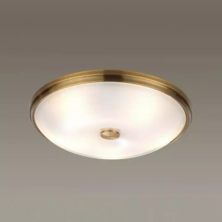 Накладной светильник Odeon Light Pelow 4956/5 1_OD_4956_5.webp big