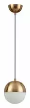 Подвесной светильник Odeon Light Pinga 4960/1 2_OD_4960_1.webp small