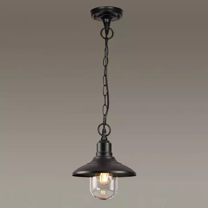 Подвесной светильник Odeon Light Campa 4965/1 1_OD_4965_1.webp big