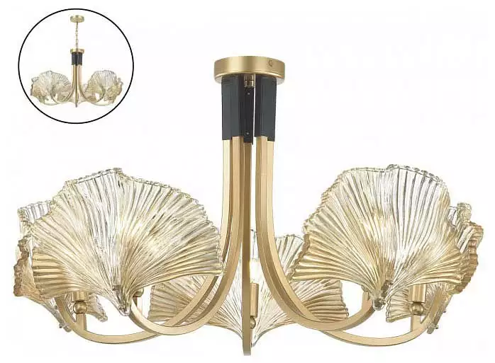 Подвесная люстра Odeon Light Ventaglio 4870/5 3_OD_4870_5.webp big